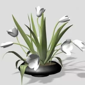 Indoor Potted Lilies Flower 3d model