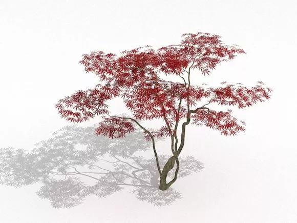 Tropical Desert Oasis Landscape With Coconut 3d model