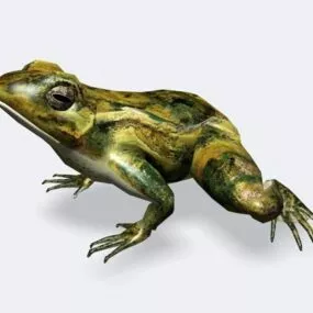 Jumping Frog Rigged 3d model