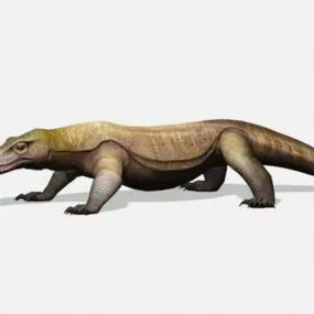 Indonesian Komodo Dragon 3d model