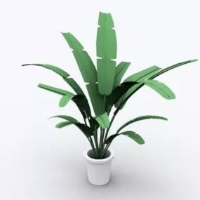 Large Indoor Potted Plant V1 3d model
