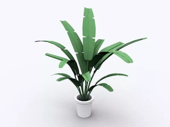 Palm Free 3d Model - .3ds, .Gsm, .Max - Open3dModel 6410