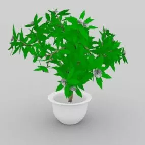 Large Indoor Potted Plant 3d model