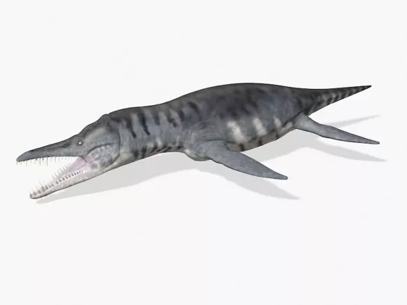 Dinosaur Track 3d model
