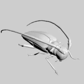 Longhorn Beetle Insect 3d model