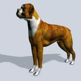 Realistic Bulldog 3d model