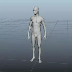 Young Man Base Mesh 3d model