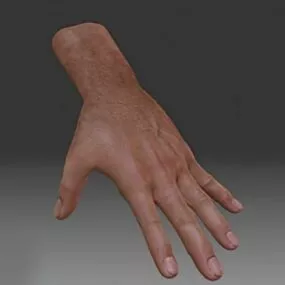 Realistic Men Hand 3d model