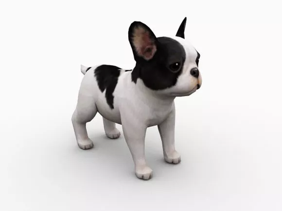 Low Poly Shiba Dog 3d model