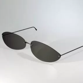 Modern Black Sunglasses 3d model