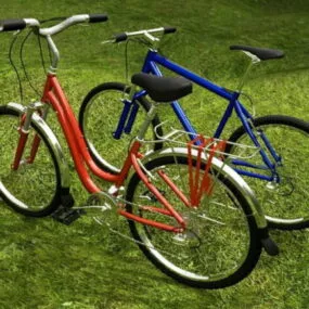 Mountain Bicycle Couple 3d model