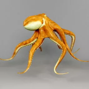 Ocean Octopus 3d model