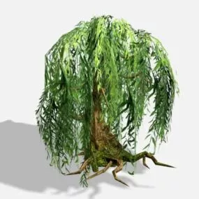 Old Willow Tree 3d model