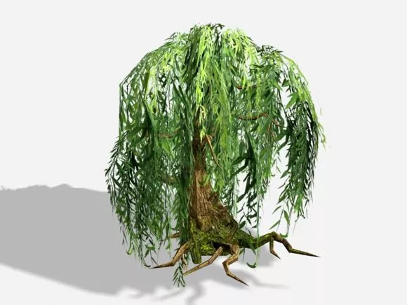 Ivy Plant Vase 3d model