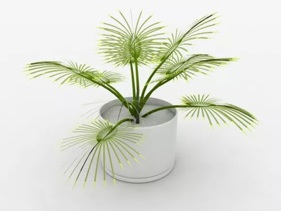 Tall Tree 15 Feet 3d model