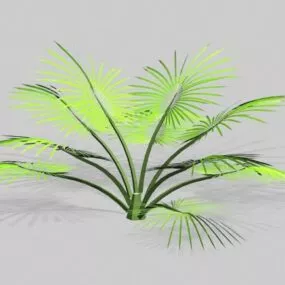 Low Poly Palm Shrub 3d model