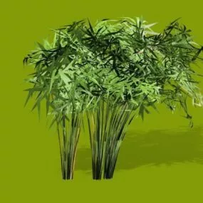 Papyrus Plants Bushes 3d model