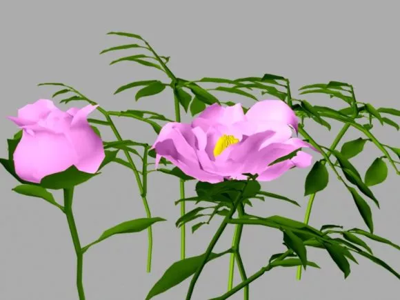Flower Rose Pot 3d model