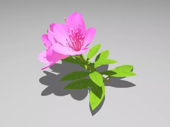 Realistic Broadleaf Tree Collection 3d model