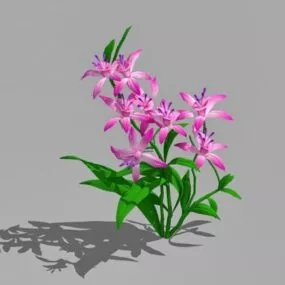 Pink Lily Flower 3d model
