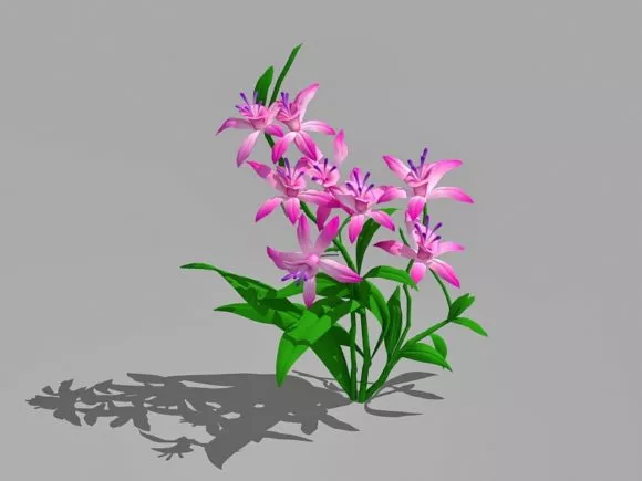 Ivy Tree Object 3d model