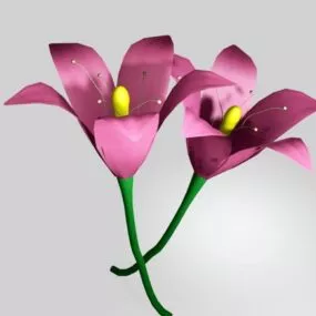 Pink Tiger Lily Flower 3d model