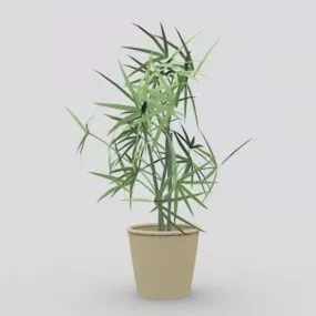 Potted Tree Bamboo 3d model