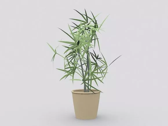 Tree Horse Chestnut Plant 3d model