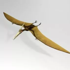 Pterosaur Dinosaur 3d model