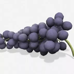 Purple Grapes 3d model
