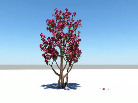 Garden Tree Nature Plant 3d model
