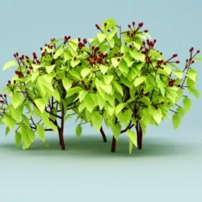 Red Berry Bushes Plant 3d model