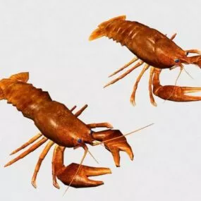 Red Crayfish Lobster 3d model