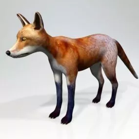 Red Fox Animal With Rigged 3d model