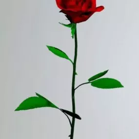 Rose Flower 3d model