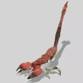 Desert Insect Scorpion 3d model