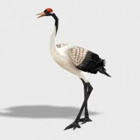 Red Crowned Crane 3d model