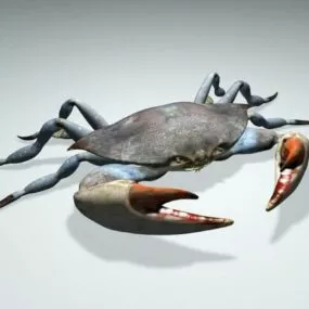 Realistic Sea Crab 3d model