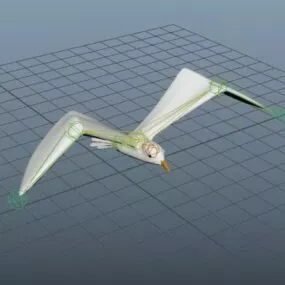 Seagull Bird Rigged 3d model