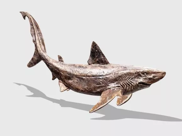 Shark Fossil Sculpture 3d model Shark Fossil Sculpture 3d model