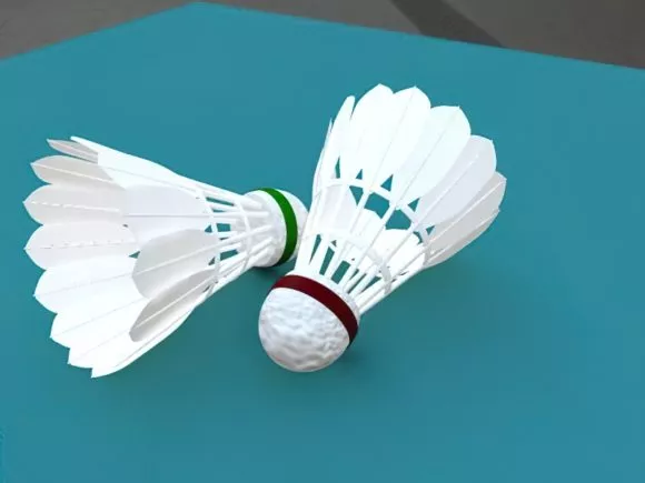 Shuttlecocks Feathers 3d model Shuttlecocks Feathers 3d model