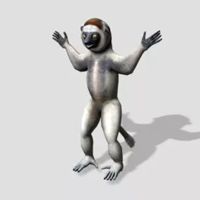 Sifaka Lemur Animal 3d model