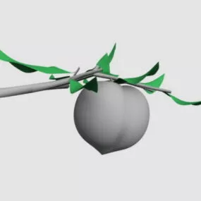Single Peach Fruit 3d model