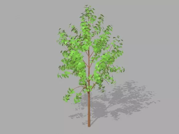 Tree Horse Chestnut Plant 3d model