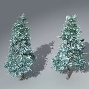 Snow Cedar Winter Tree 3d model