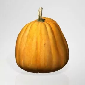 Sugar Pumpkin 3d model