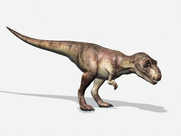 Wild Trex Dinosaur 3d model Wild Trex Dinosaur 3d model