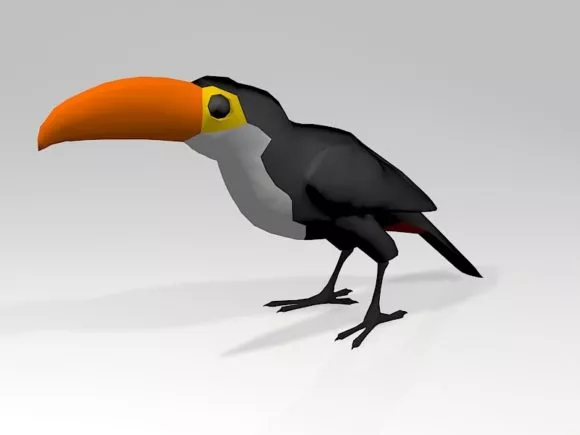 Toucan Parrot 3d model Toucan Parrot 3d model