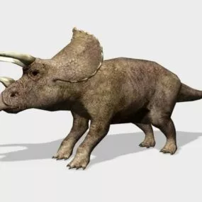 Prehistoric Triceratops Dinosaur 3d model