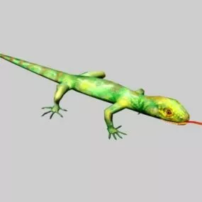 Colorful Lizard 3d model